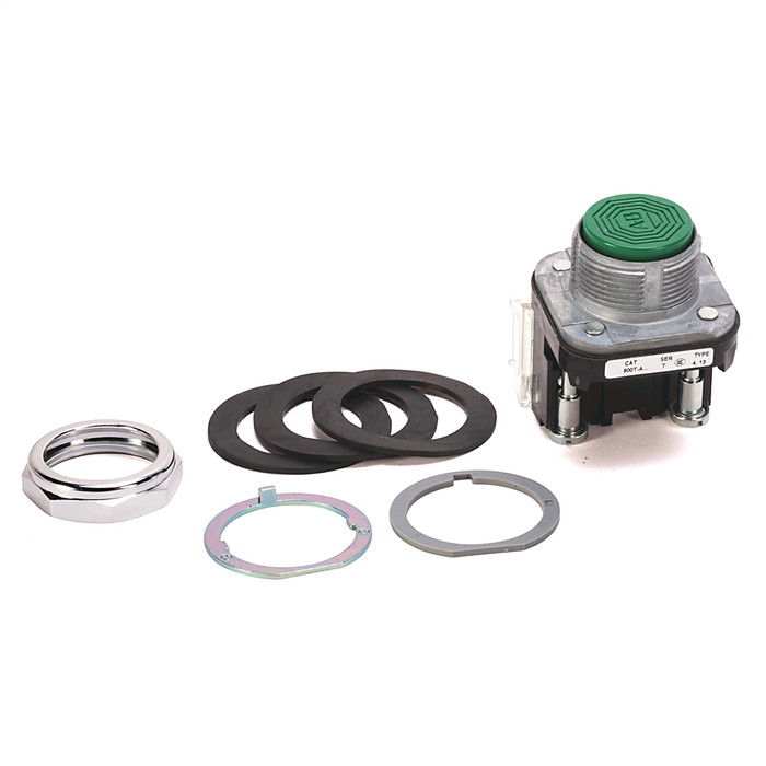 800T-A1A2 - 30.5mm Type 4/13 Mom. Contact PB, Non-Illum., Green, Flush Hd, 2 NO