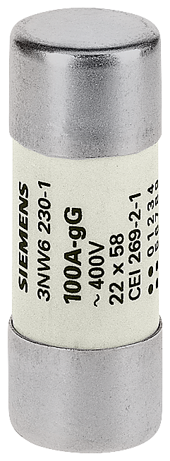 3NW6224-1 - CYLINDRICAL FUSE GG 22X58MM 500V 80A