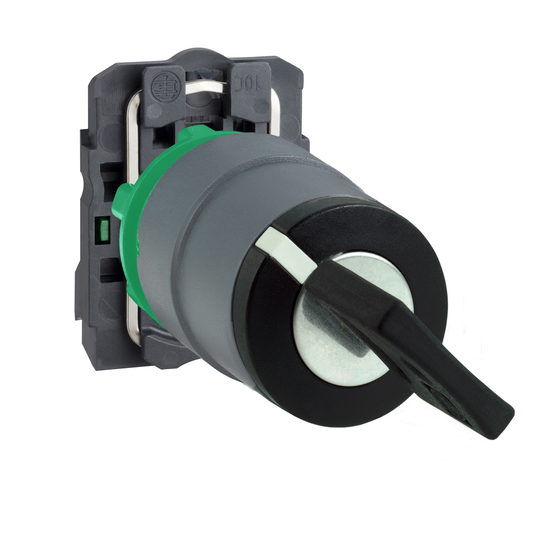 XB5AG41C0 - Selector switch, Harmony XB5, key 455 2 pos stay put key release cp grey