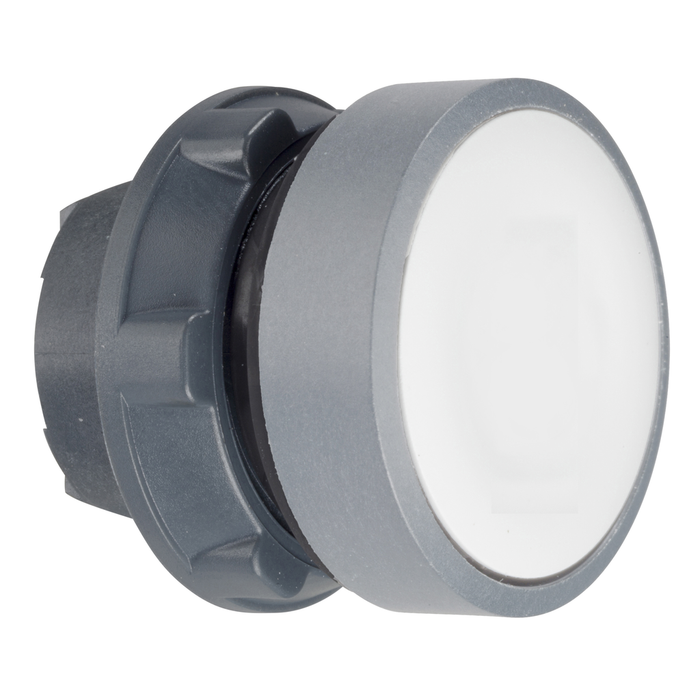 ZB5AA1C0 - Push button head, Harmony XB5, plastic, flush, white, 22mm, spring return, unmarked, grey bezel