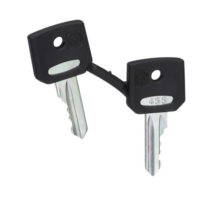 ZBG455 - Harmony, 22mm Push Button, replacemnet keys, set of two 455 keys