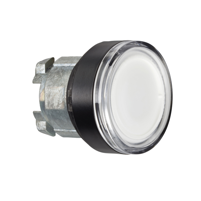 ZB4BWCUST05 - ILLUMINATED PUSHBUTTON HEAD