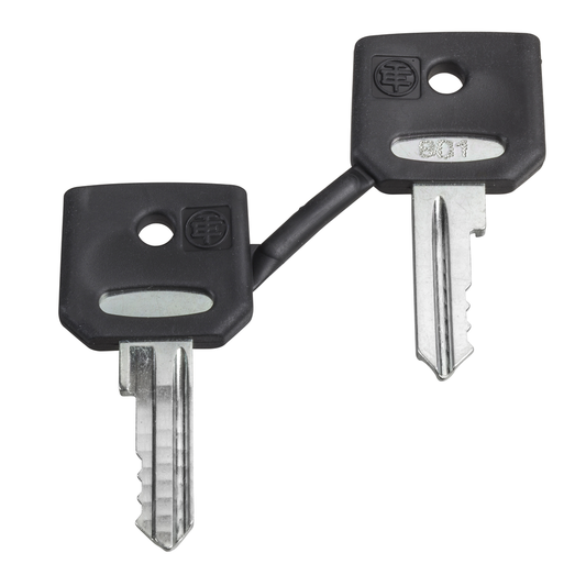 Llave, Harmony XB4, accesorio de repuesto, para selector y pulsador de parada de emergencia, Dom 8D1, juego de 2 llaves